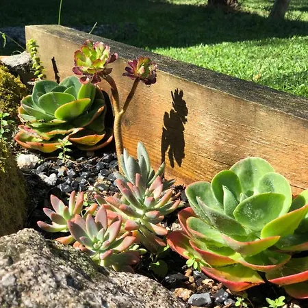 شاليه Casa Titos Estoraos (Braga)