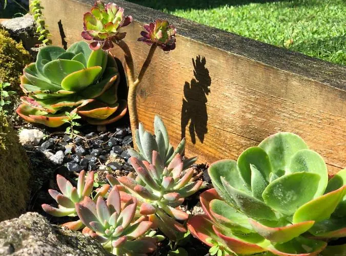 Chalet Casa Titos Estoraos (Braga)